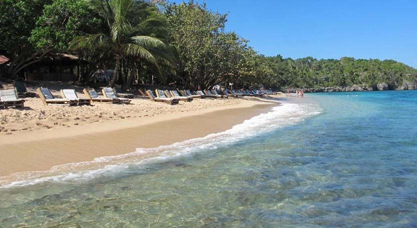 Tropical Luxury Dreams Villa Ocho Rios Kültér fotó